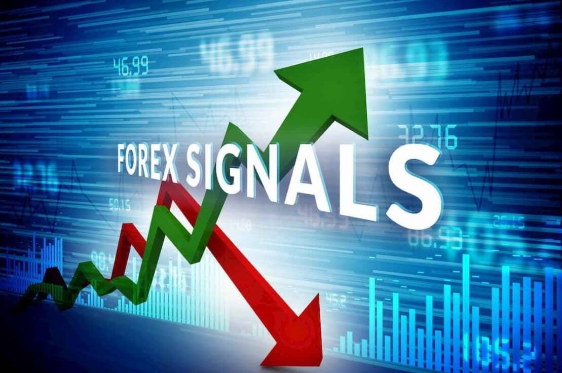 How I found the Best Free Forex Trading Signals? How much I Earned?