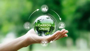Carbon Credit Trading for Small Businesses