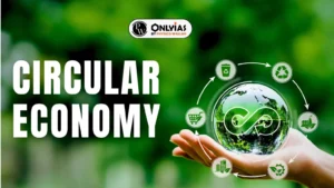 Business Sustainability with Circular Economy